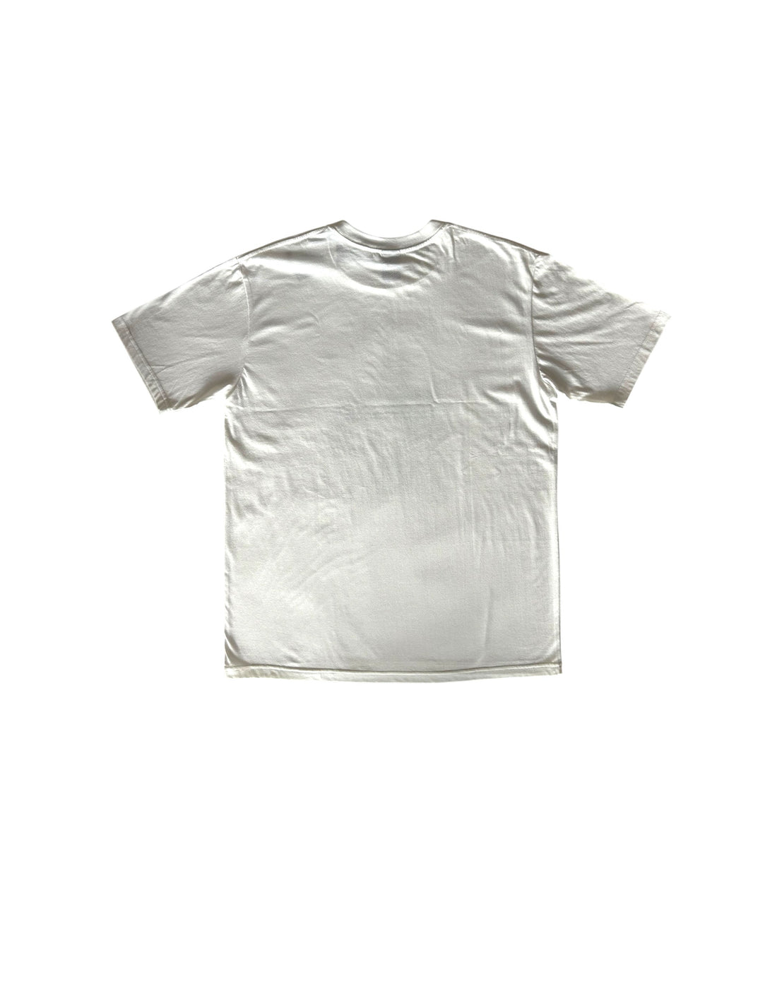 Save The World Allen Ginsberg T-Shirt Number (N)ine